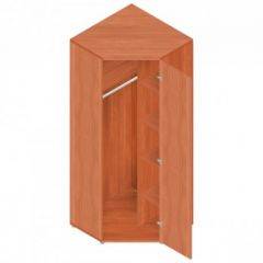 Шкаф для одежды "Референт" Р.Ш-10 в Качканаре - kachkanar.mebel24.online | фото