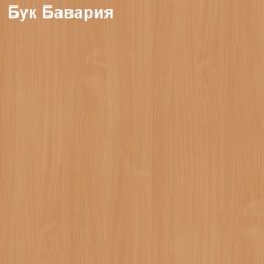 Стол-приставка Логика Л-2.07 (опора "Ронделла") в Качканаре - kachkanar.mebel24.online | фото 2