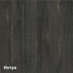 Трувор Шкаф 13.204 в Качканаре - kachkanar.mebel24.online | фото 3