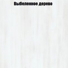 Вешалка V3 в Качканаре - kachkanar.mebel24.online | фото 4