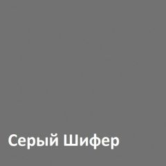 Юнона Шкаф торцевой 13.221 в Качканаре - kachkanar.mebel24.online | фото 2