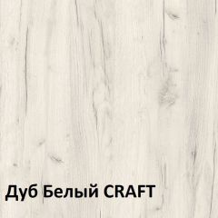 Юнона Шкаф торцевой 13.221 в Качканаре - kachkanar.mebel24.online | фото 3