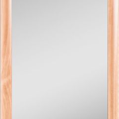 Зеркало МДФ профиль 1200х600 Бук Домино (DM9002Z) в Качканаре - kachkanar.mebel24.online | фото