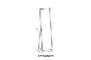 АЛЕКСАНДРИЯ-9.1 Зеркало напольное в Качканаре - kachkanar.mebel24.online | фото 2
