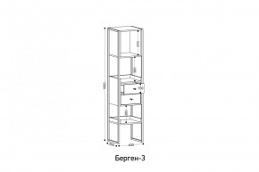 БЕРГЕН 3 Стеллаж в Качканаре - kachkanar.mebel24.online | фото 3