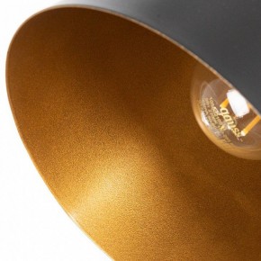 Бра Arte Lamp Thomas A7032AP-1BK в Качканаре - kachkanar.mebel24.online | фото 10