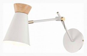 Бра EVOLUCE Alfeo SLE1252-501-01 в Качканаре - kachkanar.mebel24.online | фото
