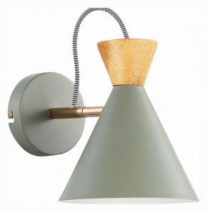 Бра EVOLUCE Modica SLE125111-01 в Качканаре - kachkanar.mebel24.online | фото 2