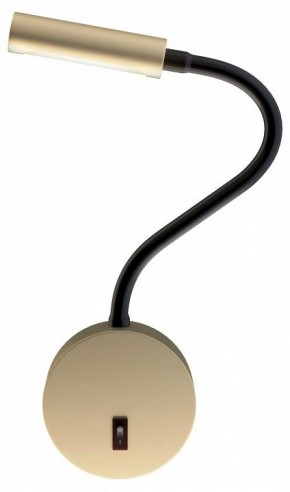 Бра Maytoni Stem C035WL-L3MG3K в Качканаре - kachkanar.mebel24.online | фото