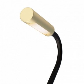 Бра Maytoni Stem C035WL-L3MG3K в Качканаре - kachkanar.mebel24.online | фото 6