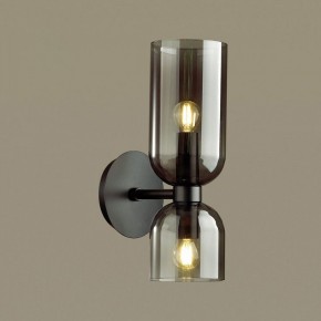 Бра Odeon Light Orinoco 4804/2W в Качканаре - kachkanar.mebel24.online | фото 2