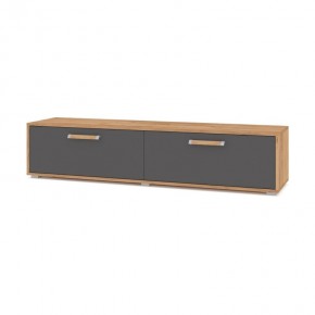 ФЛОРИДА Ф31 Тумба ТВ (дуб золотой/графит) в Качканаре - kachkanar.mebel24.online | фото