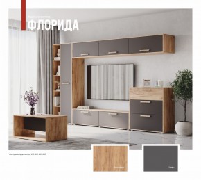 ФЛОРИДА Гостиная (модульная) дуб золотой/графит в Качканаре - kachkanar.mebel24.online | фото
