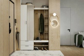 Гарнитур для прихожей Торонто в Качканаре - kachkanar.mebel24.online | фото 5