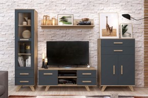 Гостиная Вега Скандинавия (комплект 7) в Качканаре - kachkanar.mebel24.online | фото 2