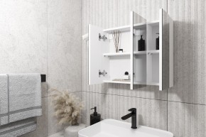 Кларити Шкаф зеркальный 16.312.08 в Качканаре - kachkanar.mebel24.online | фото 2