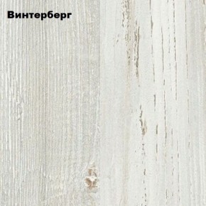 Компьютерный стол "СК-5" Велес в Качканаре - kachkanar.mebel24.online | фото 4