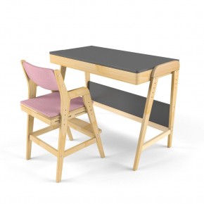 Комплект растущий стол и стул с чехлом 38 попугаев «Вуди» (Серый, Береза, Розовый) в Качканаре - kachkanar.mebel24.online | фото