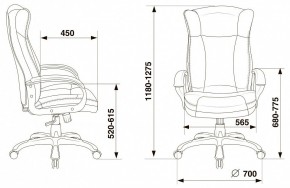 Кресло для руководителя Бюрократ CH-879N в Качканаре - kachkanar.mebel24.online | фото 5