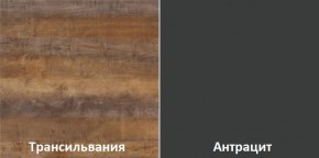 Кухонный гарнитур угловой Трансильвания 2400x1600 мм (Стол. 38 мм) Антрацит/Трансильвания в Качканаре - kachkanar.mebel24.online | фото 3