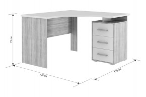 ЛАЙТ К4 Компьютерный стол в Качканаре - kachkanar.mebel24.online | фото 6