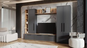 ЛЕВАНТЕ Гостиная в Качканаре - kachkanar.mebel24.online | фото
