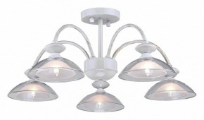 Люстра на штанге Arti Lampadari Noventa Noventa E 1.1.5 W в Качканаре - kachkanar.mebel24.online | фото