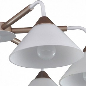 Люстра на штанге Arti Lampadari Ribera Ribera E 1.1.6 CW в Качканаре - kachkanar.mebel24.online | фото 3