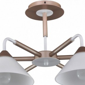 Люстра на штанге Arti Lampadari Ribera Ribera E 1.1.6 CW в Качканаре - kachkanar.mebel24.online | фото 4