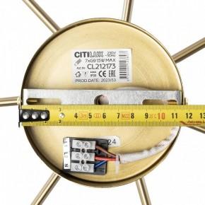 Люстра на штанге Citilux Tonga CL212173 в Качканаре - kachkanar.mebel24.online | фото 9
