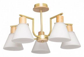 Люстра на штанге De City Дэла 45 635016505 в Качканаре - kachkanar.mebel24.online | фото