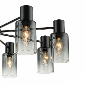 Люстра на штанге Escada Diversity 2120/8P Black в Качканаре - kachkanar.mebel24.online | фото 5