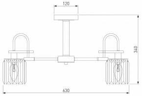Люстра на штанге Eurosvet Tenia 70090/5 графит в Качканаре - kachkanar.mebel24.online | фото 4