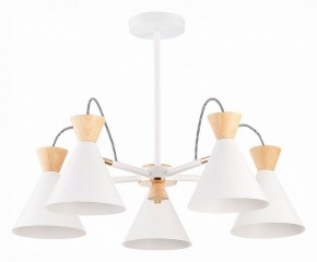 Люстра на штанге EVOLUCE Modica SLE125102-05 в Качканаре - kachkanar.mebel24.online | фото 1