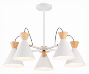 Люстра на штанге EVOLUCE Modica SLE125102-05 в Качканаре - kachkanar.mebel24.online | фото 2