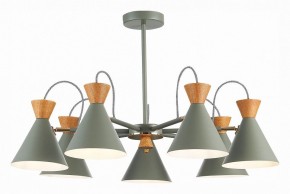 Люстра на штанге EVOLUCE Modica SLE125112-07 в Качканаре - kachkanar.mebel24.online | фото 2