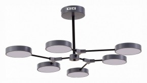 Люстра на штанге EVOLUCE Monta SLE6003-702-06 в Качканаре - kachkanar.mebel24.online | фото 1