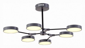 Люстра на штанге EVOLUCE Monta SLE6003-702-06 в Качканаре - kachkanar.mebel24.online | фото 2