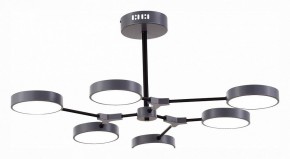 Люстра на штанге EVOLUCE Monta SLE6003-702-06 в Качканаре - kachkanar.mebel24.online | фото 3