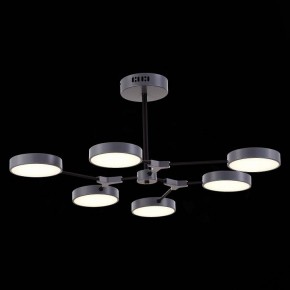 Люстра на штанге EVOLUCE Monta SLE6003-702-06 в Качканаре - kachkanar.mebel24.online | фото 5