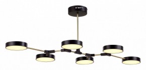 Люстра на штанге EVOLUCE Monta SLE6004-402-06 в Качканаре - kachkanar.mebel24.online | фото 2