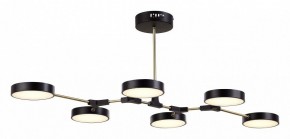 Люстра на штанге EVOLUCE Monta SLE6004-402-06 в Качканаре - kachkanar.mebel24.online | фото 4