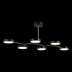 Люстра на штанге EVOLUCE Monta SLE6004-402-06 в Качканаре - kachkanar.mebel24.online | фото 5