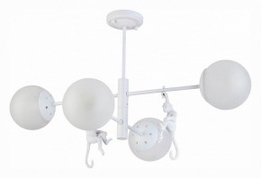 Люстра на штанге EVOLUCE Tenato SLE115102-04 в Качканаре - kachkanar.mebel24.online | фото 2
