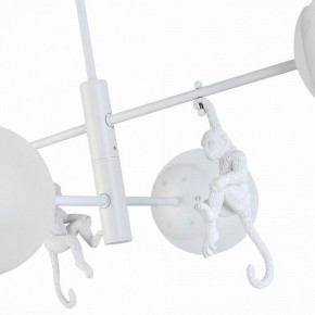 Люстра на штанге EVOLUCE Tenato SLE115102-04 в Качканаре - kachkanar.mebel24.online | фото 9