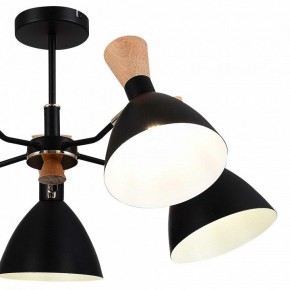 Люстра на штанге EVOLUCE VISTA SLE1256-402-05 в Качканаре - kachkanar.mebel24.online | фото 10