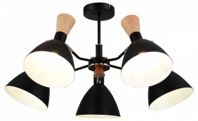 Люстра на штанге EVOLUCE VISTA SLE1256-402-05 в Качканаре - kachkanar.mebel24.online | фото 6