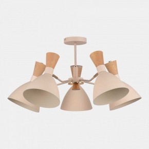 Люстра на штанге EVOLUCE VISTA SLE1256-502-05 в Качканаре - kachkanar.mebel24.online | фото 4