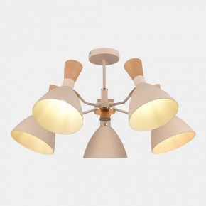 Люстра на штанге EVOLUCE VISTA SLE1256-502-05 в Качканаре - kachkanar.mebel24.online | фото 5