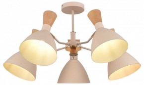 Люстра на штанге EVOLUCE VISTA SLE1256-502-05 в Качканаре - kachkanar.mebel24.online | фото 6